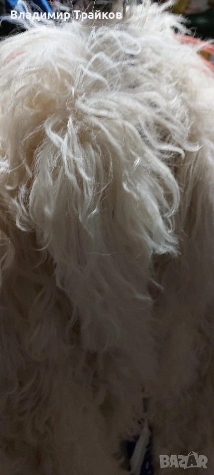 палто №42, снимка 1