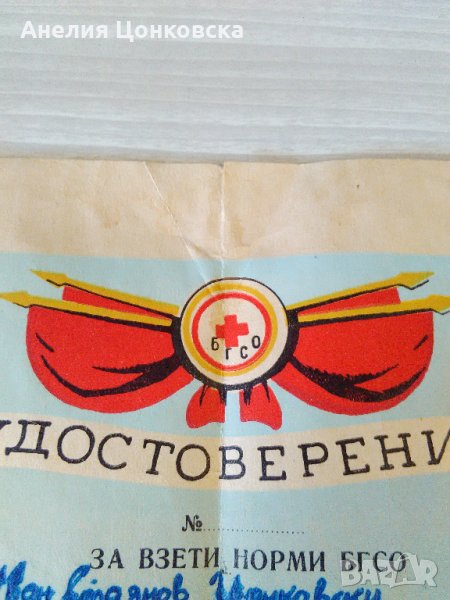 Удостоверение БГСО 1967 г., снимка 1