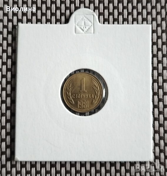 1 стотинка 1981, снимка 1