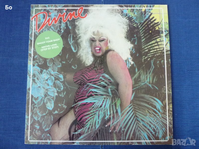 грамофонни плочи Divine, снимка 1
