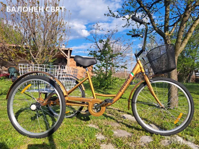 24 цолов Триколесен Велосипед Безплатна Доставка Безплатно Асемблиране, снимка 1