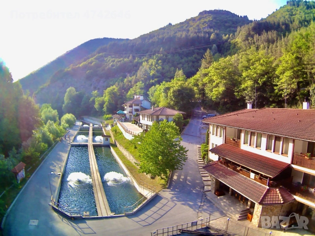 Работещ бизнес за производство на пъстърва с хотелска част, снимка 2 - Производствени сгради - 53537189