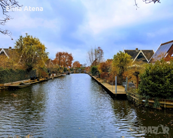 работа за болногледачи