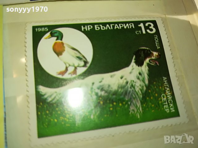 МАРКА 4 НРБ 1985 АНГЛИЙСКИ СЕТЕР 1203231608, снимка 2 - Филателия - 39972745