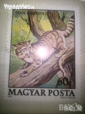 Красива колекция 2 бр. стари Унгарски пощенски марки с животни, 1979 г., снимка 2 - Филателия - 43347498