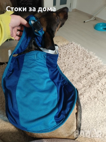 Кучешко якенце