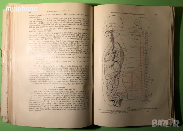 Стара Книга Анатомия ма Човека /Rauber Kopsch, снимка 10 - Специализирана литература - 49218517