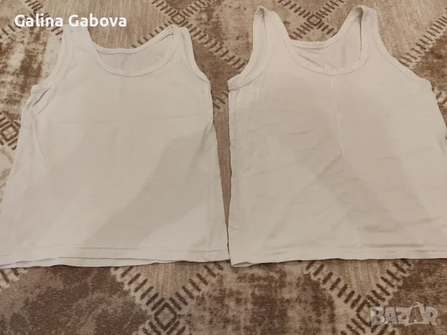 Потници , снимка 1