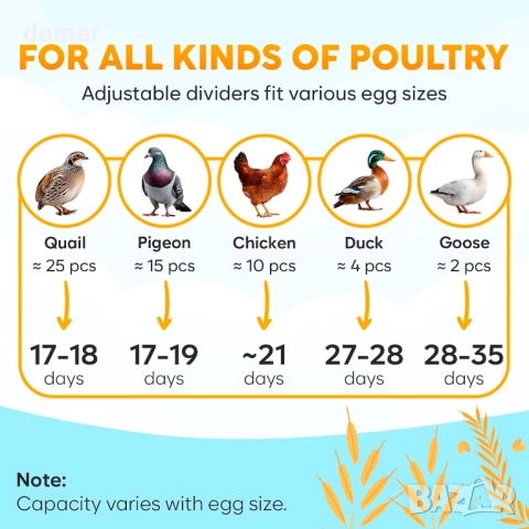 Инкубатор за 12 яйца с автоматично завъртане на яйцата и контрол, снимка 6 - За птици - 52692819