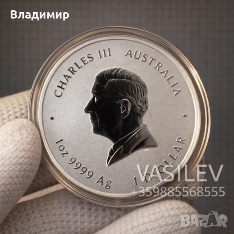 Сребърна Монета 1 унция Лунар Змия 2025 Година на Змията Lunar Snake, снимка 2 - Нумизматика и бонистика - 52802524