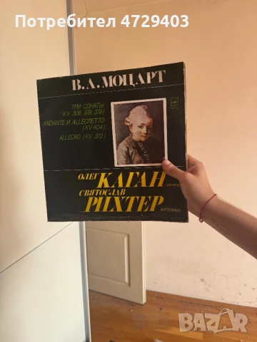 Грамофонни плочи , снимка 8 - Грамофонни плочи - 53488659