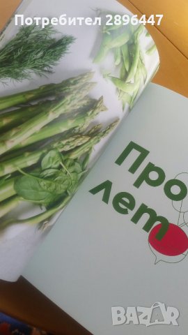 Книгата на шев Манчев и Шишков, снимка 8 - Колекции - 35569842