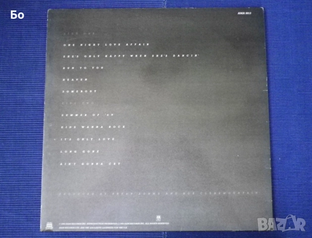 грамофонни плочи Bryan Adams, снимка 3 - Грамофонни плочи - 52473577