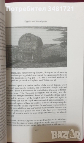 Цигани, роми, възродителен процес - история, архиви, снимка 5 - Художествена литература - 52640474