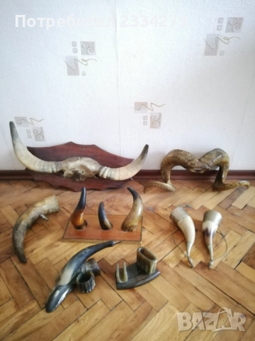 Стари трофейни рога и сувенири изработени от рога, снимка 4 - Антикварни и старинни предмети - 52574037
