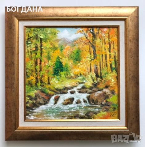 Картини с маслени бои, снимка 9 - Картини - 53524771