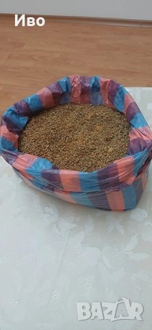 Прополис (пчелен клей), снимка 2 - Пчелни продукти - 53287739