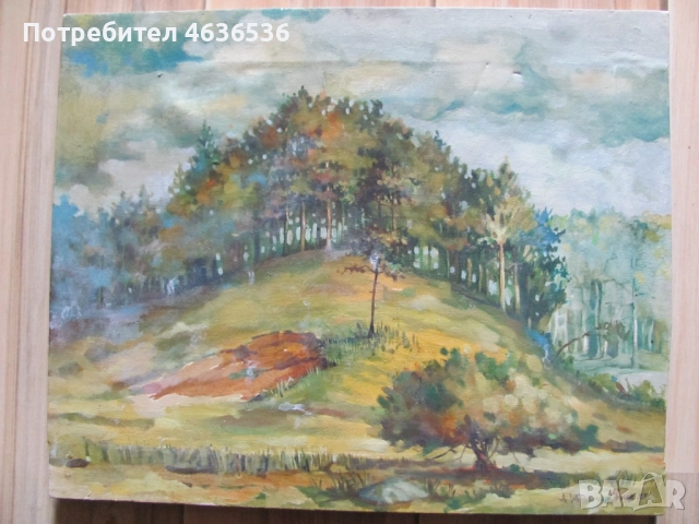 Красива Картина масло, платно , подпис, 50х40см., снимка 5 - Картини - 52573406