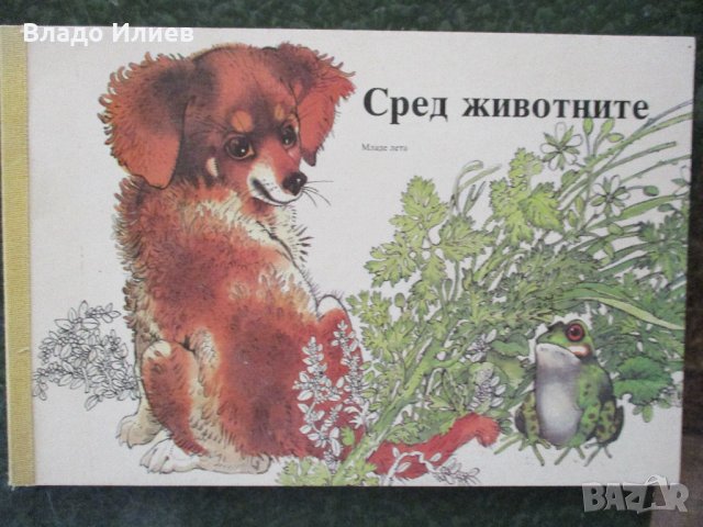 Детски книги нови различни видове, снимка 9 - Детски книжки - 33266899