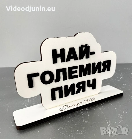 Гравирана табела с надпис, снимка 8 - Статуетки - 50498933