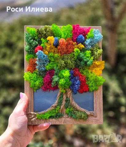 Красива картина цветно дърво декорирано с естествен скандинавски мъх, снимка 2 - Картини - 49435947