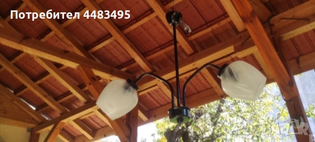 Полилей, снимка 2 - Полилеи - 53416265