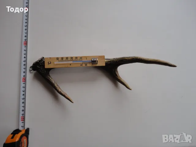 Ловен термометър еленов рог , снимка 2 - Антикварни и старинни предмети - 50287698