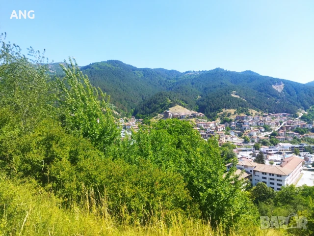 Продава парцел в гр.Девин , снимка 3 - Парцели - 50804650