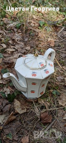 Кана, снимка 3 - Кани - 39857784