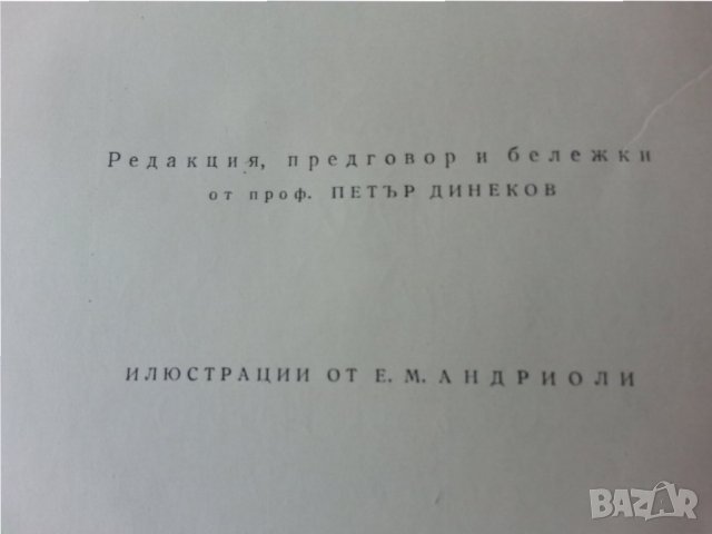 Пан Тадеуш от Адам Мицкевич, оригинално издание от 1959 г. превод Блага Димитрова, с илюстрации, снимка 3 - Художествена литература - 33676871