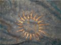 Оригинален голям копринен шал от остров Мавриций, снимка 1 - Шалове - 33226839