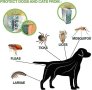 Нов Нашийник Каишка Защита от Бълхи и Кърлежи Кучета Котки  за Кучета, снимка 9