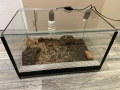 Терариум, оборудван, снимка 5