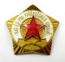Социализъм-Комунизъм-Красиви емайлирани значки, снимка 3
