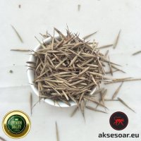 100 Семена от бамбук Moso-Bamboo красиво растение за вашата градина, за декорация , снимка 14 - Сортови семена и луковици - 19674349