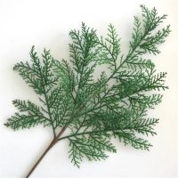 Изкуствено растение Листо лист стрък кипарис, снимка 5 - Декорация за дома - 43807881