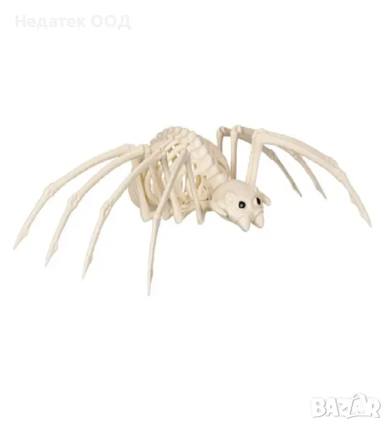 Реалистичен скелет, паяк, Хелоуин, 37 см, снимка 1