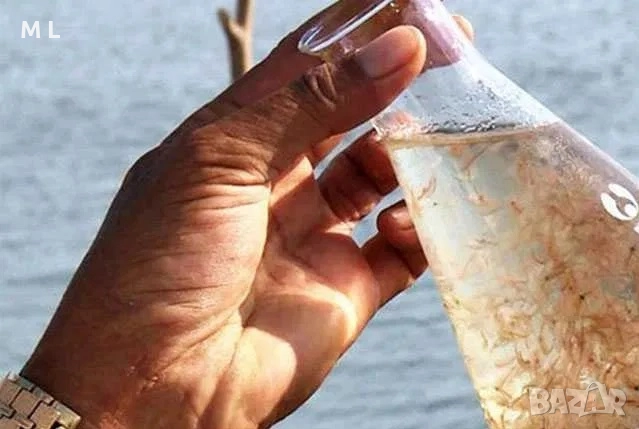 Артемия храна за рибки (суха), снимка 1