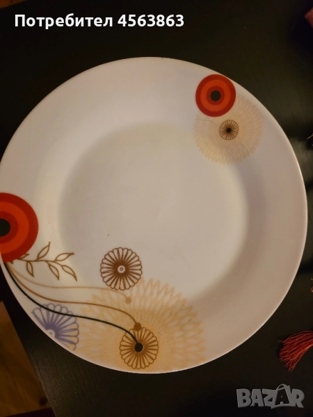 Чинии, снимка 1