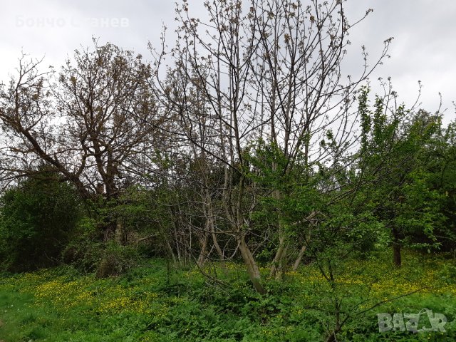 Продавам къща с парцел, снимка 7 - Парцели - 26810812