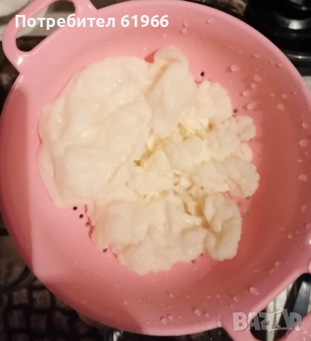 кефирена гъба в наличност, снимка 2 - Други стоки за дома - 52231436