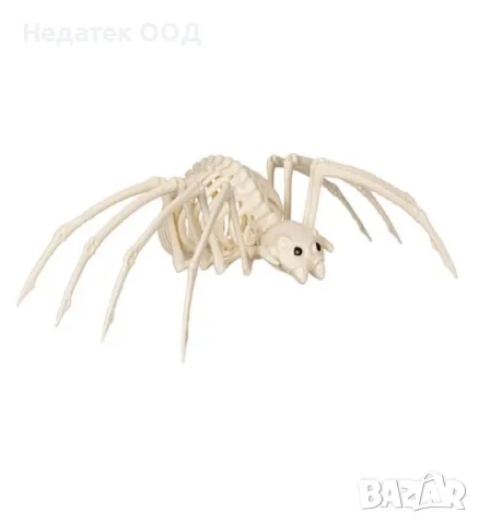 Реалистичен скелет, паяк, Хелоуин, 37 см