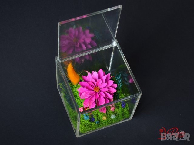 Вечни Цветя в Акрилна Кутия / Стилен Подарък за Рожден Ден на Жена / Естествена Вечна Далия в Кутия, снимка 2 - Подаръци за жени - 43749243