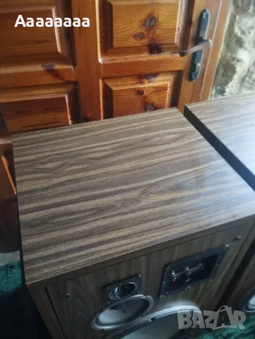 Cerwin-Vega MODEL 316R, снимка 4 - Тонколони - 50168580