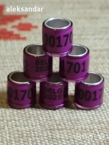 Пръстени за гълъби, папагали,канари за 2025 г, снимка 8 - Гълъби - 48763304