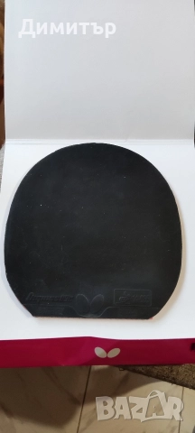 Butterfly dignics 09 c