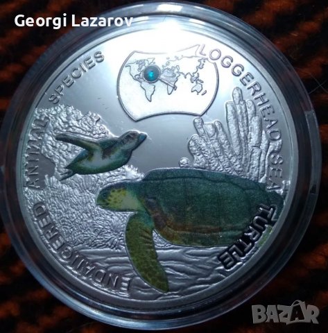 1000 квача Замбия 2014 костенурки, снимка 7 - Нумизматика и бонистика - 39006374