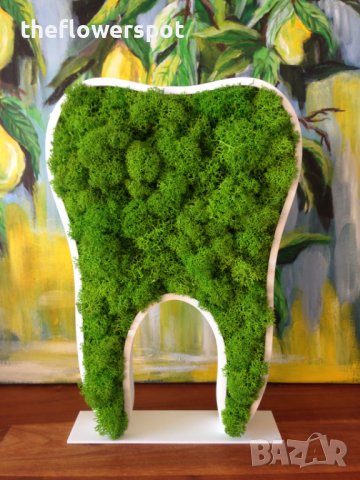 Подарък - За зъболекар и зъботехник - зъб със скандинавски мъх, снимка 5 - Други - 40661965