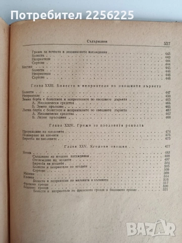 Овощарство 1954г , снимка 2 - Специализирана литература - 53075504
