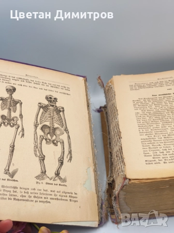 Антикварна находка Книга от 1921 г. - Жената като семеен лекар, снимка 12 - Антикварни и старинни предмети - 52856786